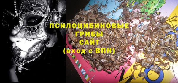 дурь Бронницы