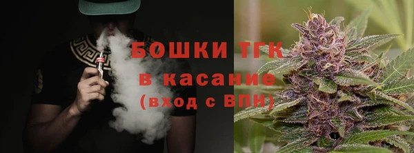 дурь Бронницы