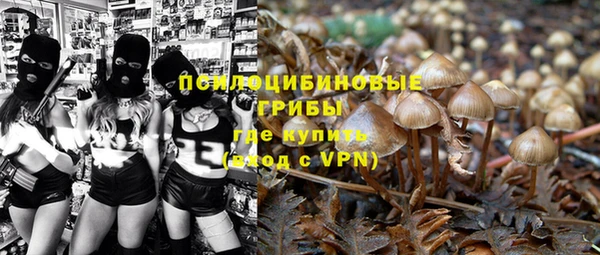 дурь Бронницы