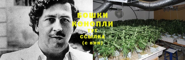 дурь Бронницы