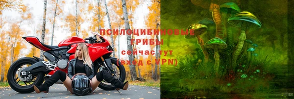 а пвп мука Бугульма
